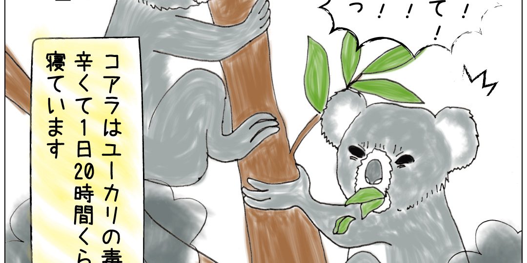 2207公務員まんがコアラ_01